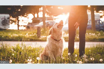 139 Malibu Drive, Egg Harbor Township, NJ 08234 - Photo 25