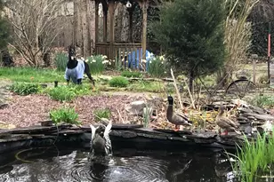 7106 Ridge Ave, Egg Harbor Township, NJ 08234 - Photo 73