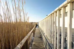 307 E Edgewater Ave, Pleasantville, NJ 08232 - Photo 29