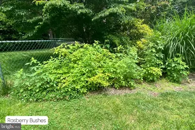 100 Captains Walk, Egg Harbor Township, NJ 08234 - Photo 39