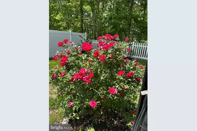 70 Galleria Drive, Mays Landing, NJ 08330 - Photo 23