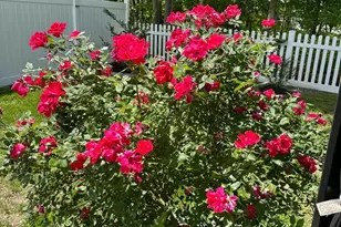 70 Galleria Dr, Mays Landing, NJ 08330 - Photo 23