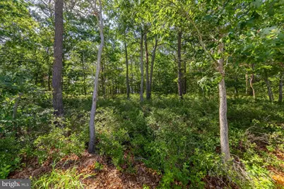 70 Galleria Drive, Mays Landing, NJ 08330 - Photo 29