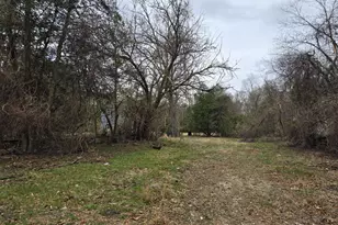 80 Cape May Ave, Dorothy, NJ 08317 - Photo 3