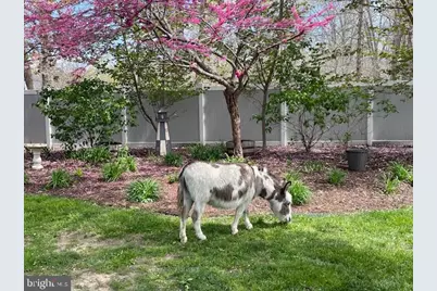 11 Princeton Avenue, Egg Harbor Township, NJ 08234 - Photo 9