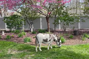 11 Princeton Ave, Egg Harbor Township, NJ 08234 - Photo 9