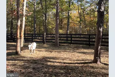 11 Princeton Avenue, Egg Harbor Township, NJ 08234 - Photo 5