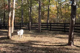 11 Princeton Ave, Egg Harbor Township, NJ 08234 - Photo 5