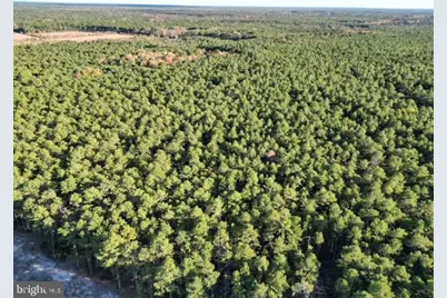 11 2nd Avenue, Chatsworth, NJ 08019 - Photo 65