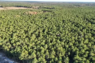 11 2nd Ave, Chatsworth, NJ 08019 - Photo 65