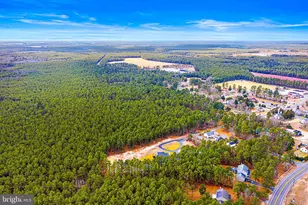 11 2nd Ave, Chatsworth, NJ 08019 - Photo 39