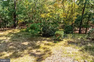 100 Hinchman Rd, Medford, NJ 08055 - Photo 29