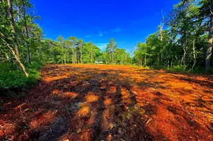 3994 Route 563, Chatsworth, NJ 08019 - Photo 7