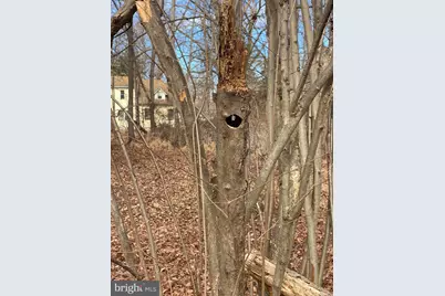 220 Hartford Road, Mount Laurel, NJ 08054 - Photo 9