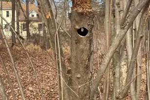 220 Hartford Rd, Mount Laurel, NJ 08054 - Photo 9