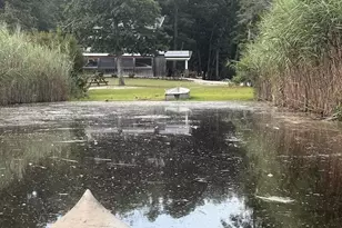 1868 Route 542, New Gretna, NJ 08224 - Photo 7