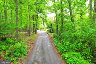 38 N Rd, Mount Holly, NJ 08060 - Photo 33