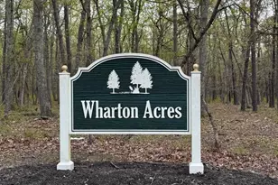 3 Red Onion Rd, Shamong, NJ 08088 - Photo 1
