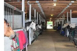 2328 Monmouth Rd, Jobstown, NJ 08041 - Photo 17