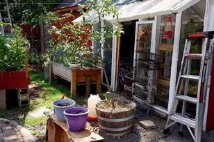 33 Teaberry St, Browns Mills, NJ 08015 - Photo 35