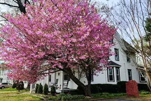 43 E Henry St, Palmyra, NJ 08065 - Photo 27