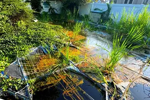 828 Wood St, Burlington, NJ 08016 - Photo 27