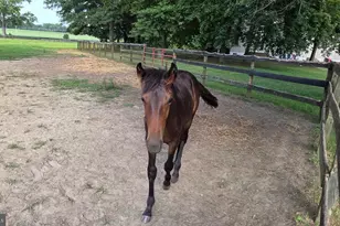 58 Sykesville Rd, Chesterfield, NJ 08515 - Photo 57