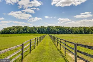 36 White Pine Rd, Chesterfield, NJ 08515 - Photo 11