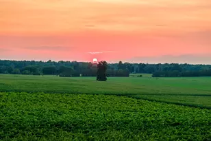 27058 Mt Pleasant Rd, Mansfield Township, NJ 08022 - Photo 127