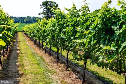 27058 Mount Pleasant Road, Mansfield Township, NJ 08022 - Photo 7