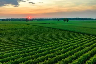 27058 Mt Pleasant Rd, Mansfield Township, NJ 08022 - Photo 123