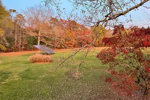 206 Burrs Mill Rd, Southampton, NJ 08088 - Photo 19