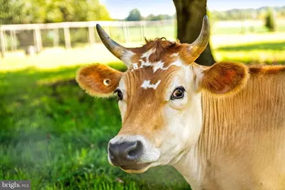 537 Arneytown-Chesterfield Road, Chesterfield, NJ 08515 - Photo 19