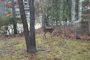 7 Pontiac Dr, Medford, NJ 08055 - Photo 43