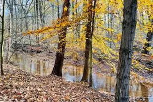 14 Iron Bridge Rd, Chesterfield, NJ 08515 - Photo 53