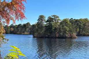 1001 N Lakeshore Dr, Browns Mills, NJ 08015 - Photo 39