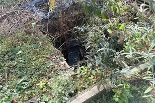 142 Cherry St, Mount Holly, NJ 08060 - Photo 9