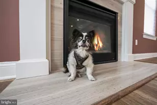 12 Baldwin Ct, Medford, NJ 08055 - Photo 13