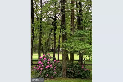 65 Bortons Road, Marlton, NJ 08053 - Photo 57