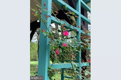 65 Bortons Road, Marlton, NJ 08053 - Photo 55