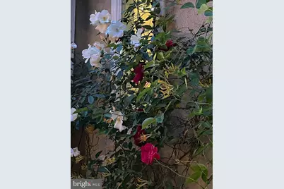 65 Bortons Road, Marlton, NJ 08053 - Photo 61