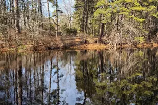 19 Big Look Trail, Medford, NJ 08055 - Photo 49