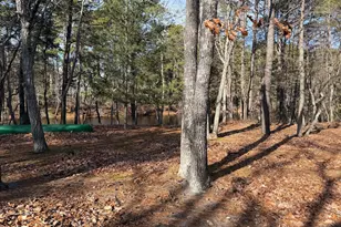 19 Big Look Trail, Medford, NJ 08055 - Photo 51