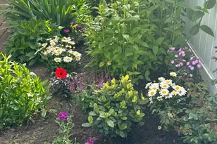 514 Prince St, Bordentown, NJ 08505 - Photo 45