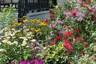 514 Prince St, Bordentown, NJ 08505 - Photo 47