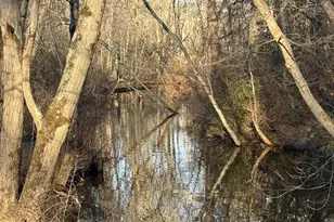 225 Tuckerton Rd, Medford, NJ 08055 - Photo 9