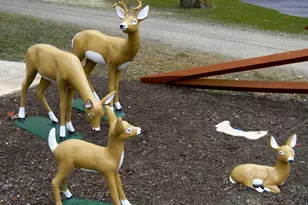 83 Holly Ct, Tabernacle, NJ 08088 - Photo 43