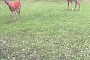 31 S John F Kennedy Way, Willingboro, NJ 08046 - Photo 19