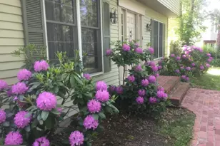 12 Friar Tuck Dr, Medford, NJ 08055 - Photo 67