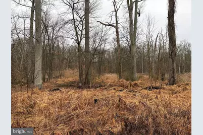 53 Rabbit Run, Mount Holly, NJ 08060 - Photo 1